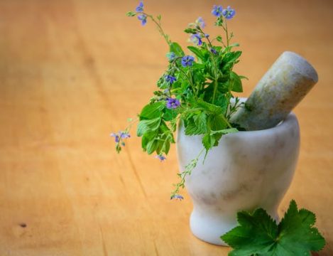 Herbal medicine 2 at Muni Labs GSA