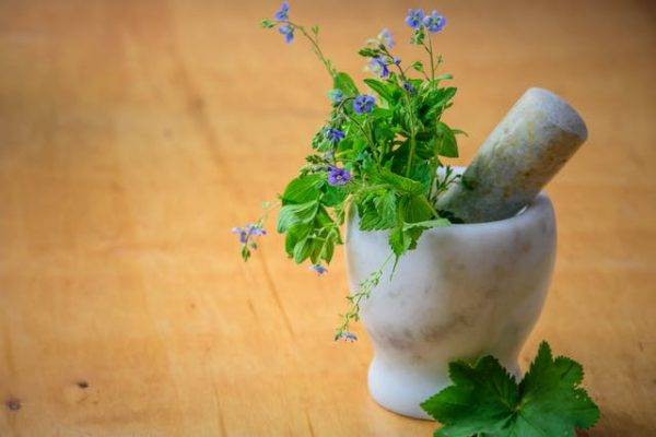 Herbal medicine 2 at Muni Labs GSA